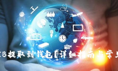 如何将SHIB提取到钱包？详细指南与常见问题解答