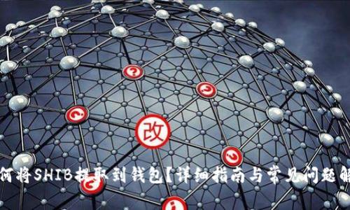 如何将SHIB提取到钱包？详细指南与常见问题解答