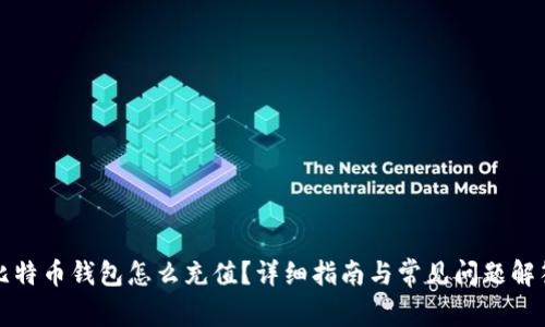 比特币钱包怎么充值？详细指南与常见问题解答