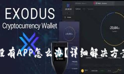 TP钱包没有APP怎么办？详细解决方案与指南