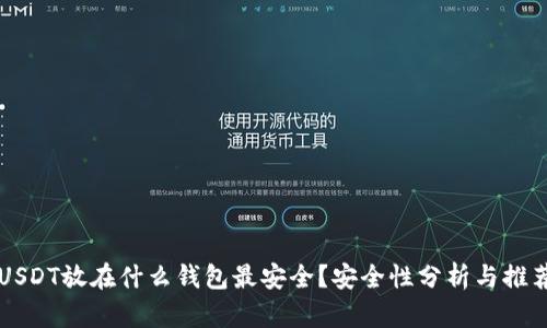 USDT放在什么钱包最安全？安全性分析与推荐