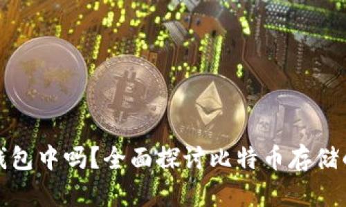 比特币应该放入钱包中吗？全面探讨比特币存储的安全性与便捷性