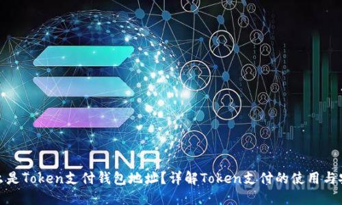 什么是Token支付钱包地址？详解Token支付的使用与安全