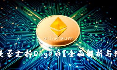 TP钱包是否支持Doge币？全面解析与使用指南
