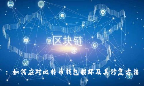 : 如何应对比特币钱包损坏及其修复方法