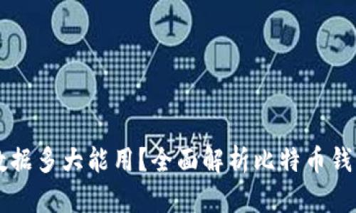 比特币钱包数据多大能用？全面解析比特币钱包容量与使用