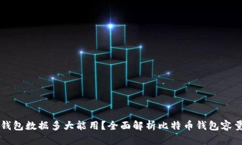 比特币钱包数据多大能用？全面解析比特币钱包容量与使用