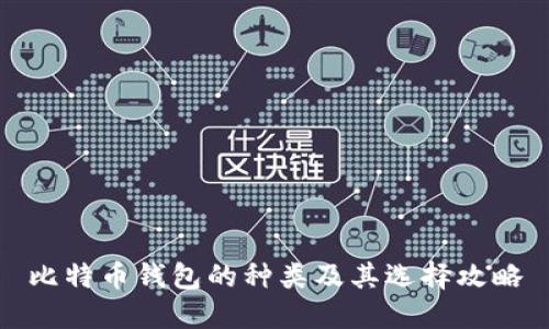 比特币钱包的种类及其选择攻略