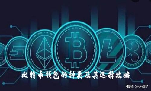 比特币钱包的种类及其选择攻略