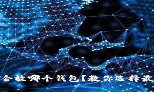 : 狗狗币适合放哪个钱包？教你选择最安全的钱包
