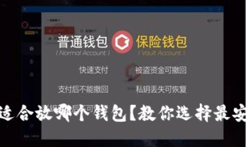 : 狗狗币适合放哪个钱包？教你选择最安全的钱包
