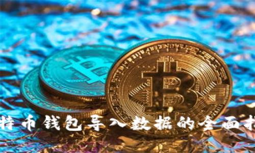 比特币钱包导入数据的全面指南