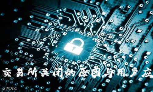 tp钱包交易所关闭的原因与用户应对措施