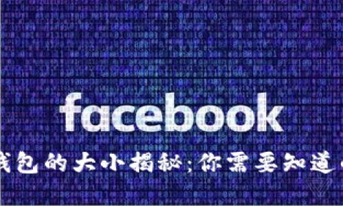 比特币完整钱包的大小揭秘：你需要知道的每一个细节
