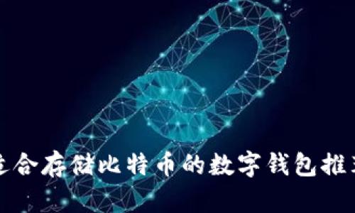 适合存储比特币的数字钱包推荐