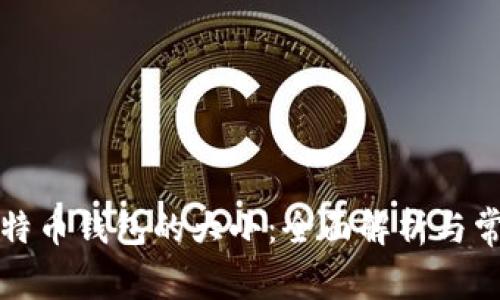 一个比特币钱包的大小：全面解析与常见问题