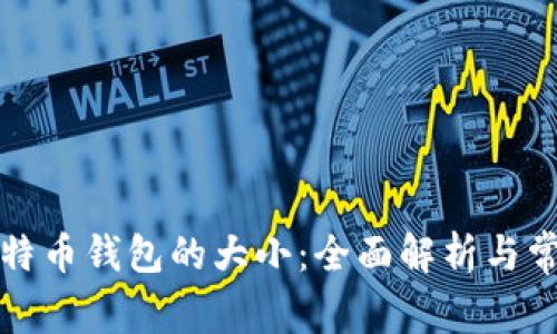 一个比特币钱包的大小：全面解析与常见问题