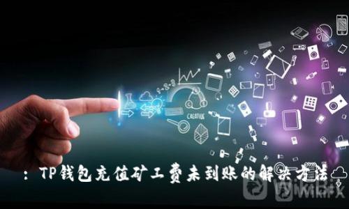 : TP钱包充值矿工费未到账的解决方法