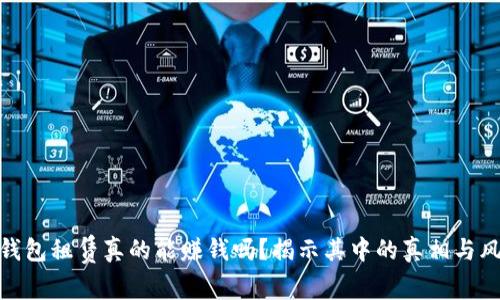 TP钱包租赁真的能赚钱吗？揭示其中的真相与风险