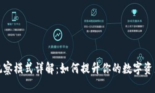 TP钱包观察模式详解：如何提升你的数字资产安全性