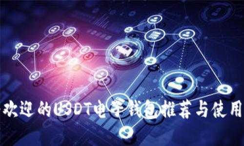 最受欢迎的USDT电子钱包推荐与使用指南