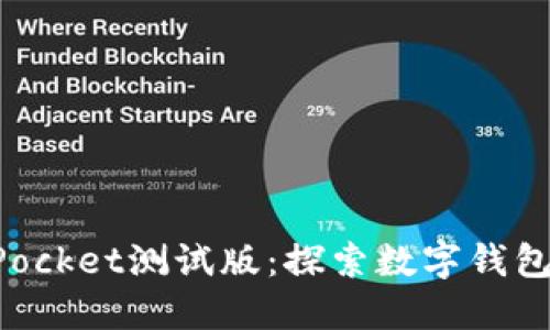 TokenPocket测试版：探索数字钱包的未来