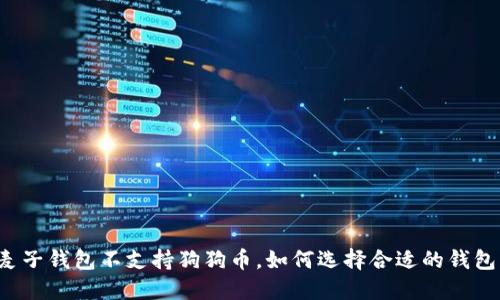 麦子钱包不支持狗狗币，如何选择合适的钱包？