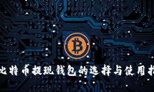 : 比特币提现钱包的选择与使用指南