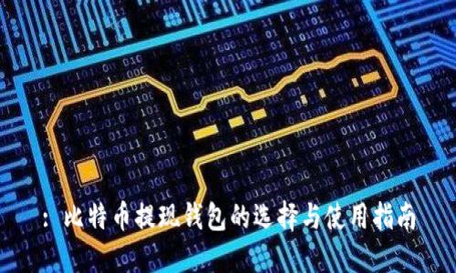 : 比特币提现钱包的选择与使用指南