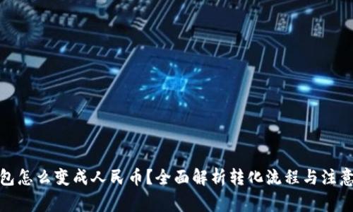 tp钱包怎么变成人民币？全面解析转化流程与注意事项