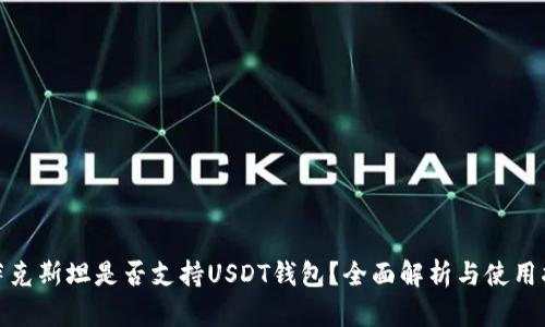 哈萨克斯坦是否支持USDT钱包？全面解析与使用指南