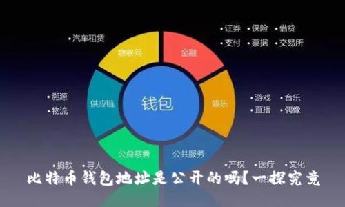 比特币钱包地址是公开的吗？一探究竟