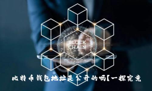 比特币钱包地址是公开的吗？一探究竟