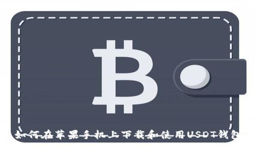 如何在苹果手机上下载和使用USDT钱包