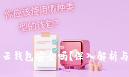 比特币的云钱包安全吗？深入解析与使用指南