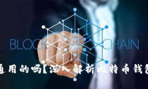 比特币钱包是通用的吗？深入解析比特币钱包的类型和选择