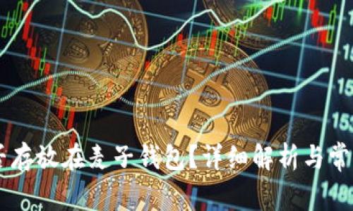 SHIB币能否存放在麦子钱包？详细解析与常见问题解答