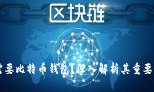 为什么需要比特币钱包？深入解析其重要性和功能
