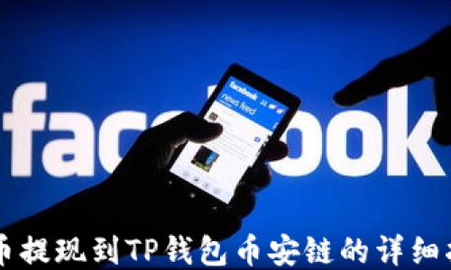 
中币提现到TP钱包币安链的详细指南