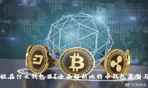 比特币存放在什么钱包里？全面解析比特币钱包类型与选择指南