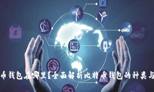 比特币钱包在哪里？全面解析比特币钱包的种类与选择