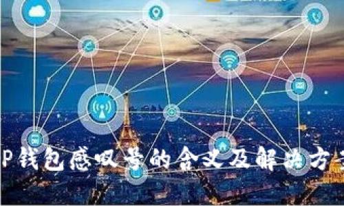 TP钱包感叹号的含义及解决方案