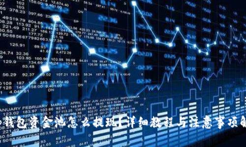  tp钱包资金池怎么提现？详细教程与注意事项解析