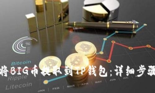 如何将BIG币提取到TP钱包：详细步骤指南