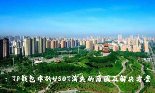: TP钱包中的USDT消失的原因及解决方案