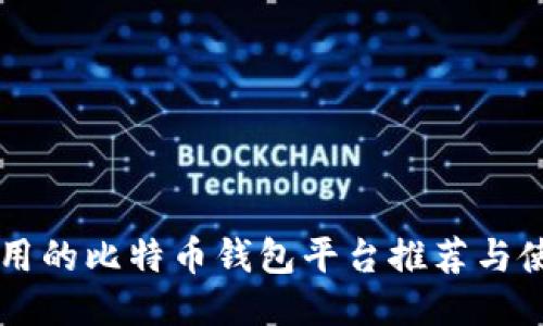 国内可用的比特币钱包平台推荐与使用指南