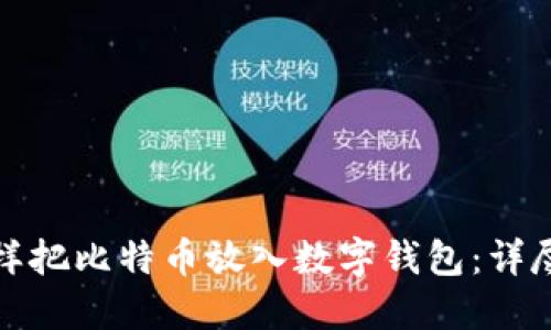 : 怎样把比特币放入数字钱包：详尽指南