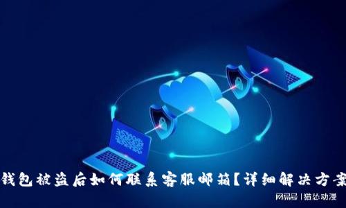 : TP钱包被盗后如何联系客服邮箱？详细解决方案解析