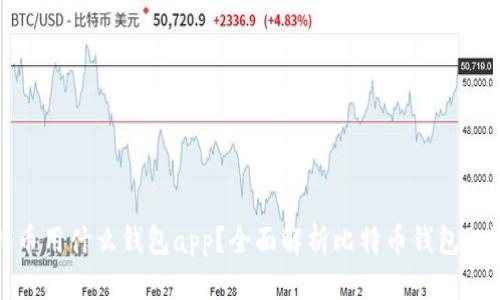 比特币用什么钱包app？全面解析比特币钱包的选择