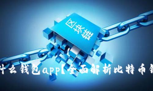 比特币用什么钱包app？全面解析比特币钱包的选择
